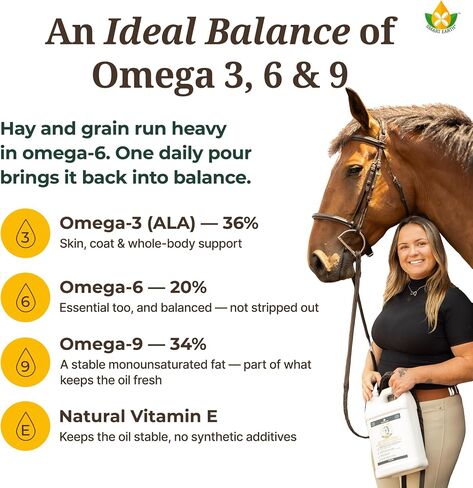 Smart Earth Camelina Horse Oil Supplement for Equine Care & Feed | Essential Oils for Joint Health | 1gal Jug in Kuwait