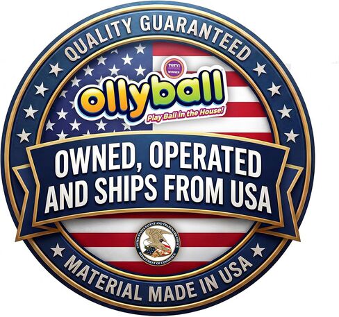 Ollyball ACE - Utility Patented Indoor/Outdoor All-Sport Ball, Multi-Color, 1 oz, for Soccer, Volleyball, Kickball, Pickleball for Youth and Safe Indoor Training and Play. in Kuwait