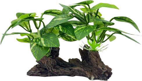 Fish Tank Decor, Aquarium Plants, Reptile Tank Accessories in Kuwait