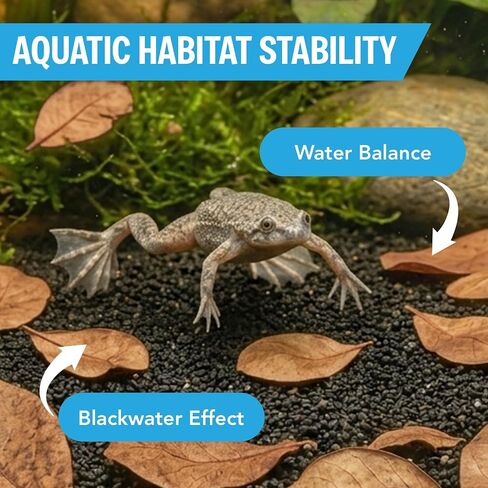 JOR 60 Pack Water Conditioner Leaves for Freshwater Betta & Shrimp Aquarium, Fin Rot Treatment Mini 2" Long Indian Almond Leaves, Leaf Lowers Tank's pH, Helps in Successful Breeding, Aquarium Décor in Kuwait