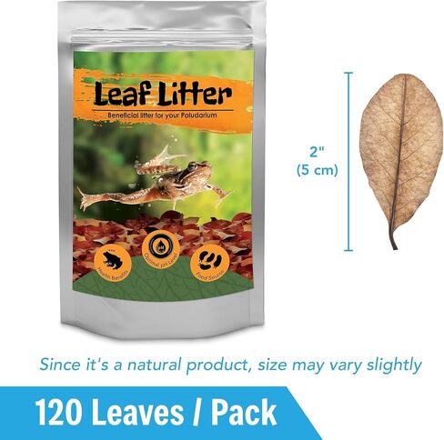JOR 60 Pack Water Conditioner Leaves for Freshwater Betta & Shrimp Aquarium, Fin Rot Treatment Mini 2" Long Indian Almond Leaves, Leaf Lowers Tank's pH, Helps in Successful Breeding, Aquarium Décor in Kuwait