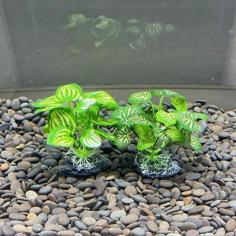 Aquarium Plants Betta Fish Tank Decorations 4inch/2pcs Soft Silk Artificial Plant Goldfish Waterscape Fish Hides Snake Tank/Reptiles Plants(A-2pcs Set/Green) in Saudi Arabia