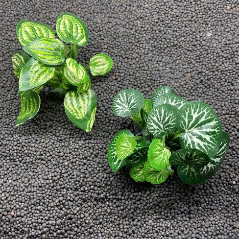 Aquarium Plants Betta Fish Tank Decorations 4inch/2pcs Soft Silk Artificial Plant Goldfish Waterscape Fish Hides Snake Tank/Reptiles Plants(A-2pcs Set/Green) in Saudi Arabia