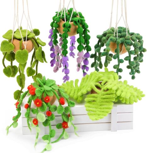 OEHPICC Needle Felting Kit, 5 Pack Hanging Plants Needle Felt Beginner Kit in Kuwait