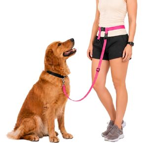 The Buddy System Hands Free Dog Leash, Adjustable Leash for Running, Jogging, Training and Service Dogs, Great for Small, Medium and Large Dogs, Made in USA (Black, Small Dog System (Large Belt)) in Saudi Arabia