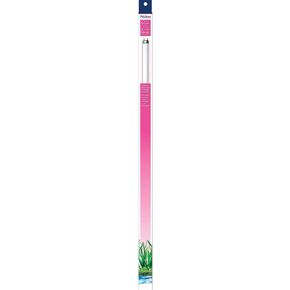 Aqueon T8 Replacement Lamp Colormax, 17 Watt 24" in Kuwait