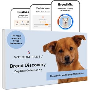 Wisdom Panel Breed Discovery Dog DNA Kit: Most Accurate Dog Breed Identification, Test for 350+ Breeds, MDR1 Health Test, Ancestry, Relatives in Saudi Arabia