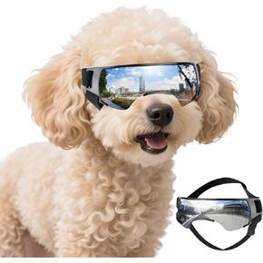 Dog Goggles for Small Breed, Dog Sunglasses UV Protection Windproof Anti-Fog, Outdoors Riding Biking Beach Eye Protection for Small Dogs, Adjustable Straps, Lightweight, Pink in Saudi Arabia