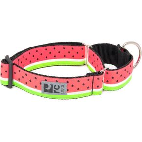 RC Pets 1-1/2 بوصة كل حزام تدريب مارتينجال للكلاب، متوسط، بطيخ in Kuwait