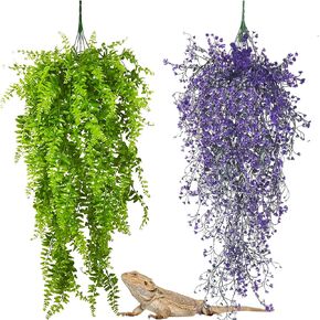 PINVNBY 2 Pack Reptile Plants Terrarium Hanging Fake Vines with Suction Cup Artificial Leaves for Bearded Dragons Lizards Geckos Snake Hermit Crab (Purple and Green) in Kuwait