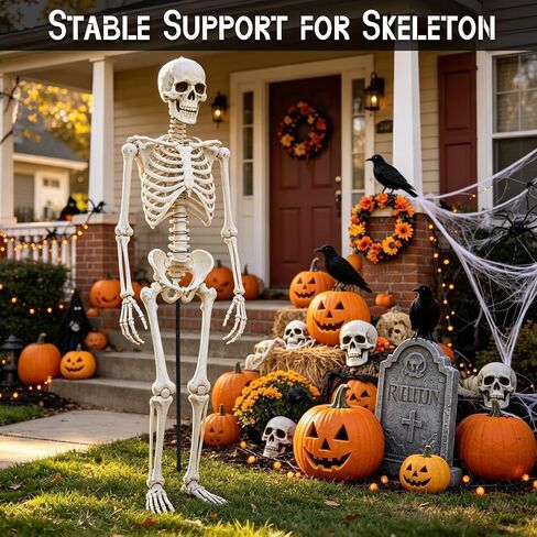 2 Sets Metal Skeleton Stand for 6ft Halloween Standing Skeleton, Black , Only Metal Stand Included, Skeleton Not Include, for Skeletons Halloween Decor Accessories, Skeleton Support Holder in Saudi Arabia