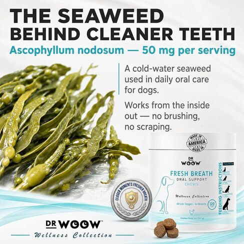 Dr. Woow Fresh Breath Dog Oral Care | Dog Breath Treats | 120 Chews in Saudi Arabia