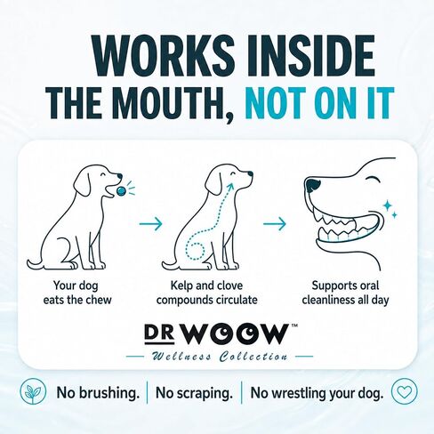 Dr. Woow Fresh Breath Dog Oral Care | Dog Breath Treats | 120 Chews in Saudi Arabia