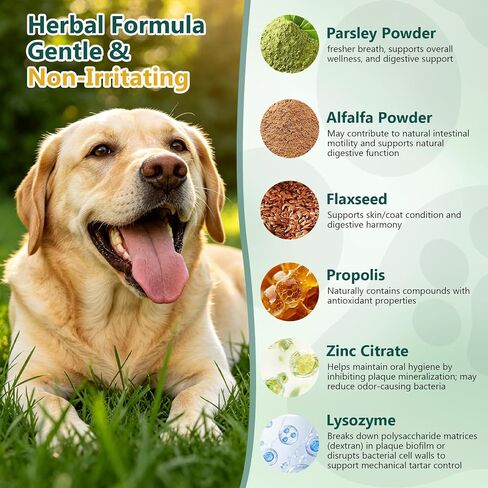Petnanny Dog Dental Powder – Teeth Cleaning Powder in Kuwait