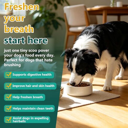 Petnanny Dog Dental Powder – Teeth Cleaning Powder in Kuwait