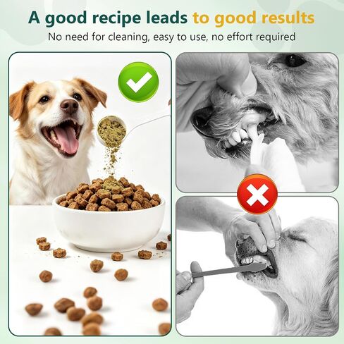 Petnanny Dog Dental Powder – Teeth Cleaning Powder in Kuwait