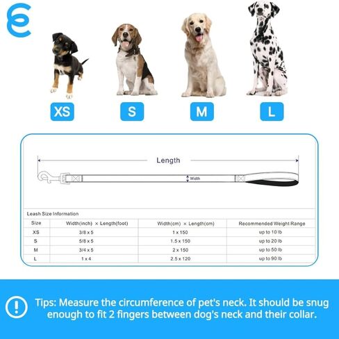 مقود الكلاب من Blueberry Pet Essentials العاكس للعودة إلى الأساسيات، باللون الوردي الفرنسي، 5 أقدام × 5/8 بوصة، صغير، مقاود للكلاب in Kuwait