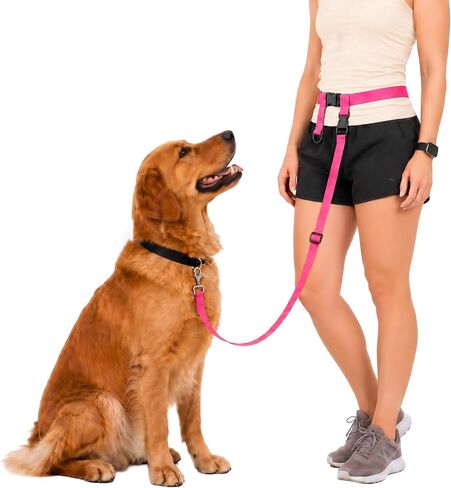 The Buddy System Hands Free Dog Leash, Adjustable Leash for Running, Jogging, Training and Service Dogs, Great for Small, Medium and Large Dogs, Made in USA (Black, Small Dog System (Large Belt)) in Saudi Arabia