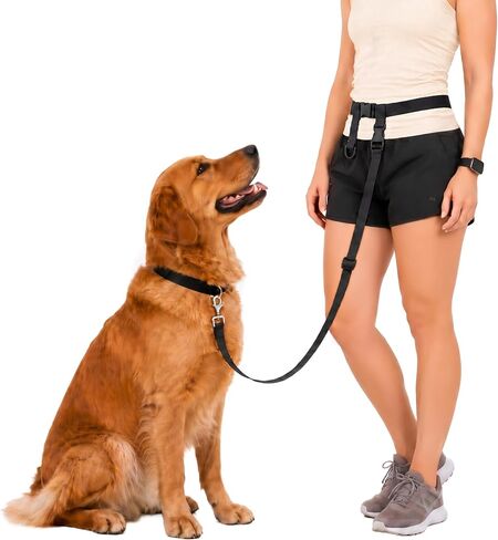 The Buddy System - Hands Free Dog Leash - Regular Dog, Regular, Black in Kuwait