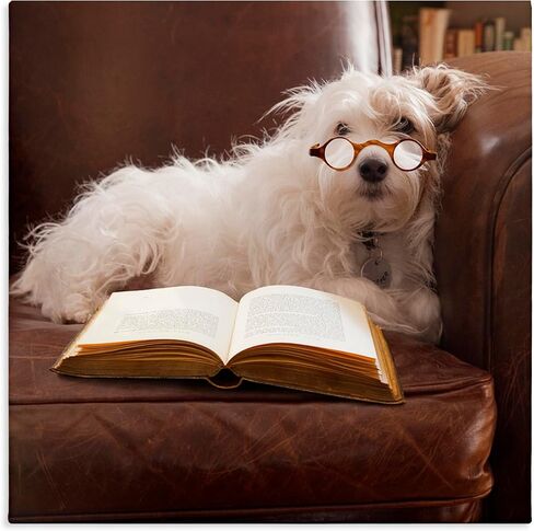 Stupell Industries White Dog Reading Book قماش جدار الفن تصميم بواسطة مايكل Quackenbush in Kuwait