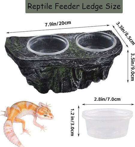 PINVNBY Reptile Suction Cup Feeder,Chameleon Feeding Food Bowl,Translucent Anti Escape Worm Live Fodder Container,Pet Ledge Water Dish Supplies for Lizard Gecko Bearded Dragon(4 Pcs) in Saudi Arabia