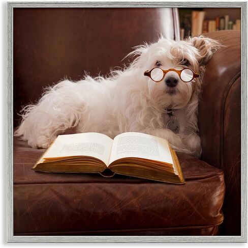 Stupell Industries White Dog Reading Book Gray Framed Giclee Art Design by Michael Quackenbush in Saudi Arabia