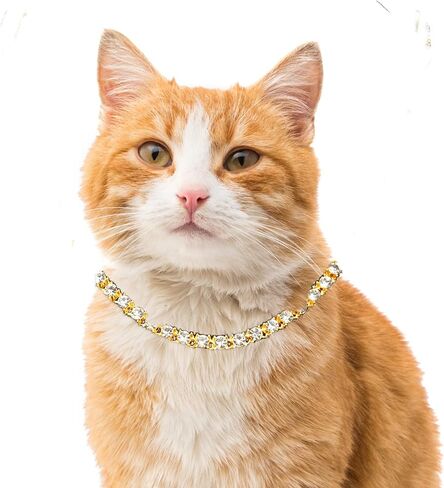 Halukakah Cat Collar Diamond Tennis Chain - Elite - Gold Chain for Cats & Kittens Iced Out - 18k Real Gold Plated 7" Collar Size - for Decoration Only - Get Your Cat Catwalk Ready in Kuwait
