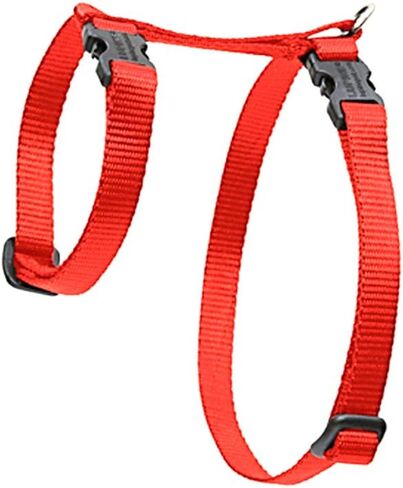 LupinePet Basics حزام مقاس 1/2 بوصة باللون الأحمر مقاس 12-20 بوصة على شكل حرف H للحيوانات الأليفة الصغيرة in Kuwait