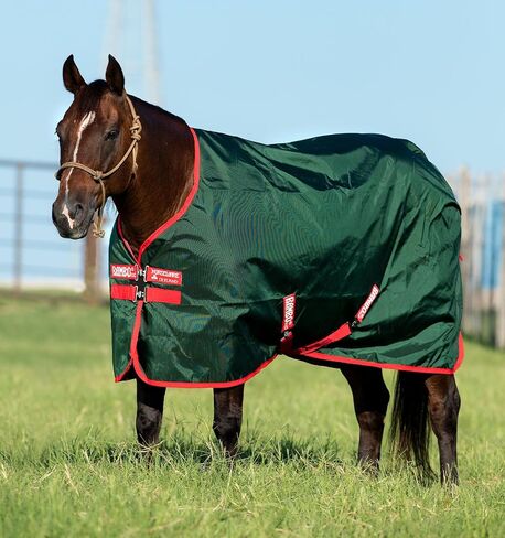 Rambo Original Turnout Lite 0g 81 Green/Red in Saudi Arabia