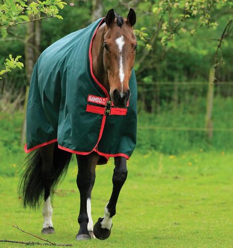 Rambo Original Turnout Lite 0g 81 Green/Red in Saudi Arabia