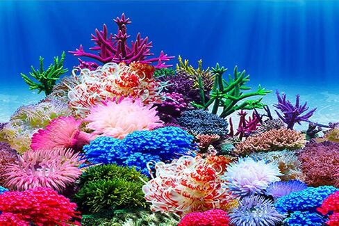 ELEBOX Aquarium Background Poster, Undersea Water Plants Sea Anemone Coral Aquarium Decor Background Double Sides Fish Tank Background Sticker Decorations 10 Gallon 20 Gallon Tank 11.8" x16.5" in Kuwait
