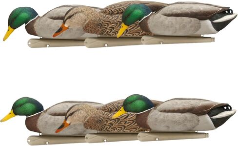 Avian-X Topflight Backwater Mallards Durable Ultra Realistic Floating Hunting Decoys, Pack of 6, AVX8070 in Kuwait