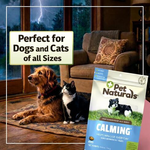 Pet Naturals Calming Chews for Dogs and Cats, Chicken, 160 Count in Kuwait