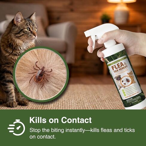 EcoVenger Flea & Tick Removal Spray 16oz for Dogs and Cats, Protects from Fleas, Mites, Ticks & Mosquitoes, eliminates+ Repels+ Housekeeping, Indoors/Outdoors, Plant-Based Formula Safe for Pets & Kids in Kuwait