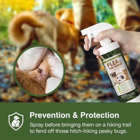 EcoVenger Flea & Tick Removal Spray 16oz for Dogs and Cats, Protects from Fleas, Mites, Ticks & Mosquitoes, eliminates+ Repels+ Housekeeping, Indoors/Outdoors, Plant-Based Formula Safe for Pets & Kids in Kuwait