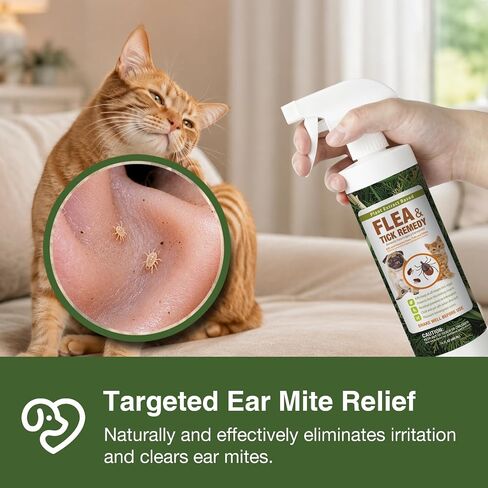 EcoVenger Flea & Tick Removal Spray 16oz for Dogs and Cats, Protects from Fleas, Mites, Ticks & Mosquitoes, eliminates+ Repels+ Housekeeping, Indoors/Outdoors, Plant-Based Formula Safe for Pets & Kids in Kuwait