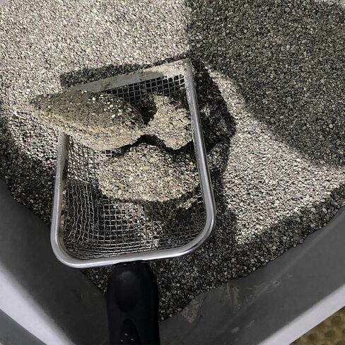3PCS Cat Litter Scoop, Mesh Kitty Litter Scooper (2.8/3.8/5mm Mesh) in Kuwait