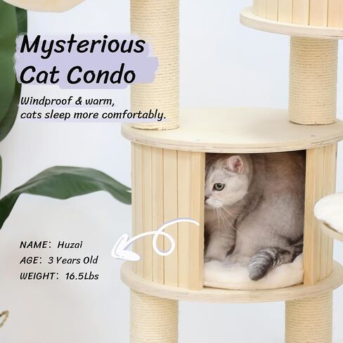 KAMABOKO Modern Cat Tree, 64" Wooden Cat Tree Tower w/Natural Sisal Posts, Cat Tree for Indoor Cats with Condo, Hammock & Top Perch, Washable Cushions for Climb Scratch Play Rest in Kuwait