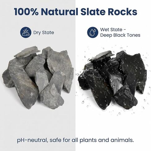 1LB Natural Slate Stones-Aquarium Rocks for Fish Tank,Non-Toxic Slate for Reptile Enclosures,Terrariums & Landscaping,Durable Decorative Stones for Freshwater Tanks & Gardens (2-5 Inches) in Kuwait