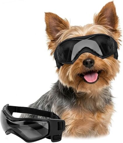 LESYPET Dog Goggles for Extra Small Breed UV Protection Windproof Chihuahua Goggles Doggy Sunglasses with Adjustable Strap for Outdoor Activities, Black in Kuwait