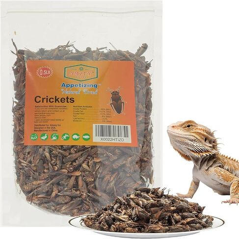 Amzey Appetizing Mealworms  Natural Dried Crickets - Food for Bearded Dragons, Wild Birds, Chicken, Fish, and Reptiles - (8 oz Resealable Bag) - Veterinary Certified in Kuwait