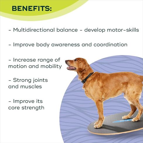 FitPaws® Wobble Board, Dog Balance Core Fitness Rehab Tool, Dog Fitness in Saudi Arabia