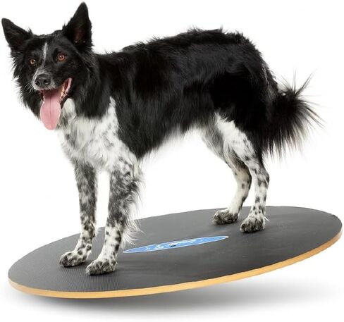 FitPaws® Wobble Board, Dog Balance Core Fitness Rehab Tool, Dog Fitness in Saudi Arabia