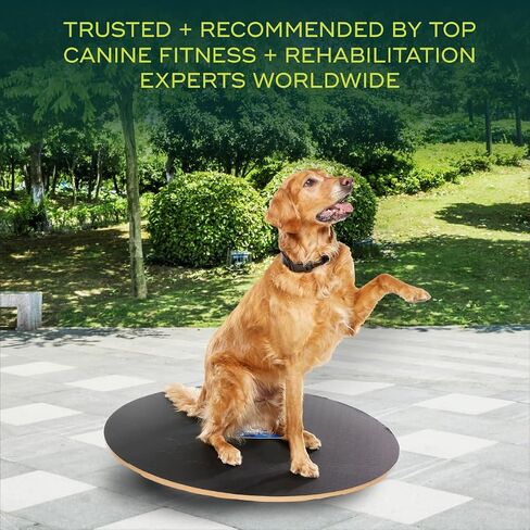 FitPaws® Wobble Board, Dog Balance Core Fitness Rehab Tool, Dog Fitness in Saudi Arabia