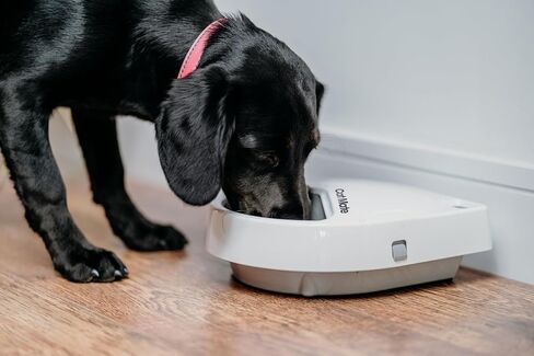 Cat Mate C300 Automatic Digital Pet Feeder for Dogs and Cats BPA and BHT Free with Ice Pack in Kuwait