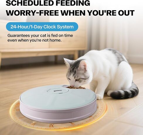 PAWISE Automatic Pet Feeder, Timed Dog Feeder,Self-Feeding Cat Food Dispenser, Auto Feeder for Wet & Dry Food with Ice Pack, 1.5 Cup,Treat Dispenser (1 Meal) in Kuwait