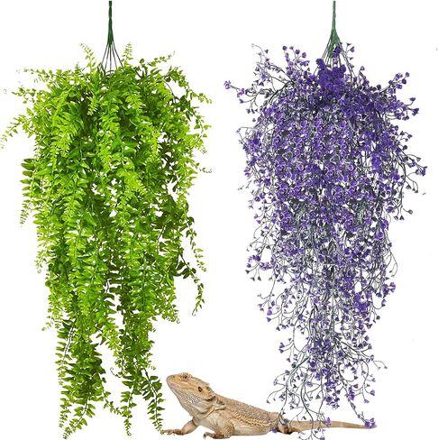 PINVNBY 2 Pack Reptile Plants Terrarium Hanging Fake Vines with Suction Cup Artificial Leaves for Bearded Dragons Lizards Geckos Snake Hermit Crab (Purple and Green) in Kuwait