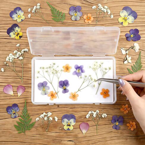 MLLNFUE Large Wooden Flower Press Kit, 11" x 8" Multi-Layer Plant Press for Dried Flowers, DIY Botanical Art and Craft Tool in Saudi Arabia