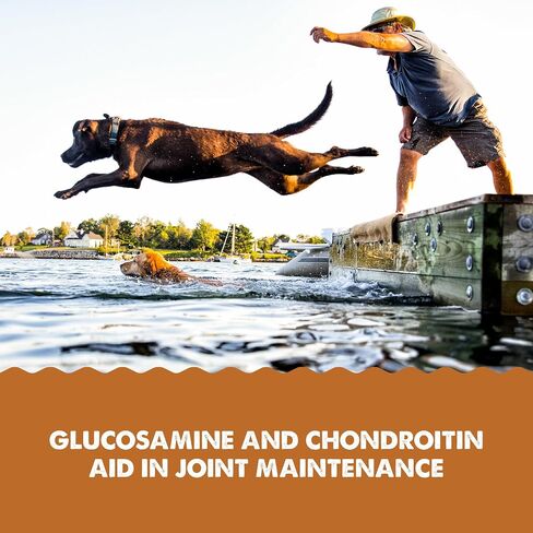 GRIZZLY PET PRODUCTS Joint Aid Liquid Hip and Joint Health Supplement Product for Dogs and Cats, 16 Ounce in Saudi Arabia