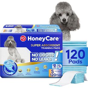 Honey Care All-Absorb, Small 17.5" x 23.5", 120 Count, Dog and Puppy Training Pads, Ultra Absorbent and Odor Eliminating, Leak-Proof 5-Layer Potty Training Pads with Quick-Dry Surface, Blue, A05 in Saudi Arabia